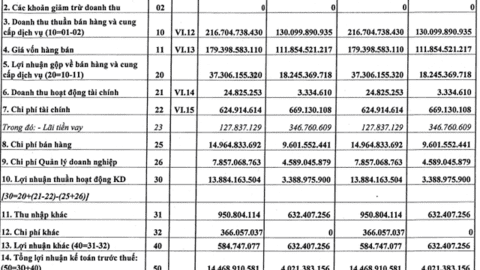 Phân lân Ninh Bình (NFC) hoàn thành 73% mục tiêu lãi cả năm chỉ trong quý 1
