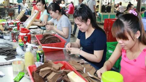Ồ ạt rút BHXH một lần: Phải giảm tuổi nghỉ hưu