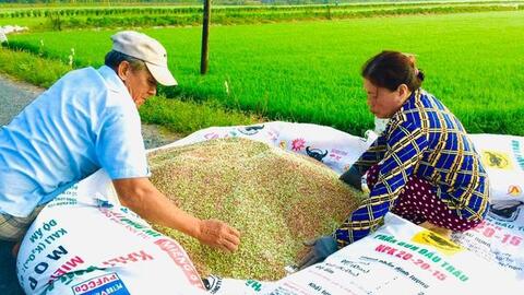 Nỗ lực kìm giá phân bón
