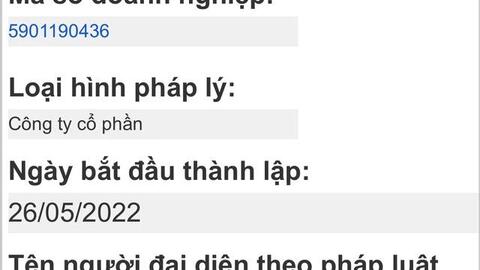 HAGL đã lập công ty riêng cho thương hiệu Heo ăn chuối BAPI: Bầu Đức đang tăng tốc hành trình cung cấp dòng heo sạch với doanh thu mục tiêu 10.000 tỷ