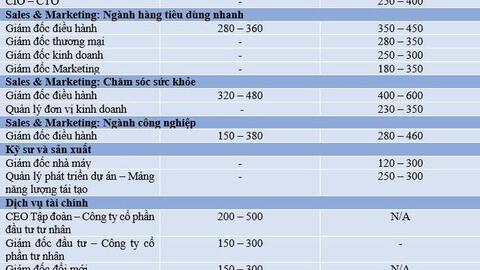 Những vị trí có mức lương trên 300 triệu đồng tại Việt Nam