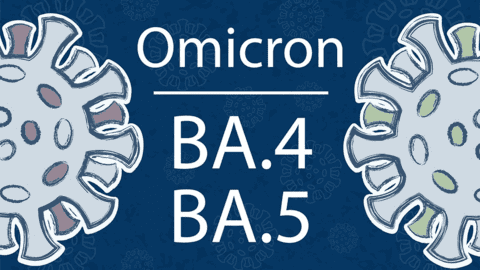 Biến chủng mới BA.5 Omicron vừa xâm nhập vào Việt Nam nguy hiểm thế nào?