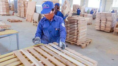 Phú Tài (PTB): Lợi nhuận nửa đầu năm 2022 tăng 31% so với cùng kỳ, đặt mục tiêu lãi 540 tỷ đồng sau 9 tháng