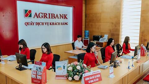 Agribank, Vietcombank bán đấu giá nhiều bất động sản tại TP HCM