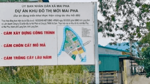 Bắt giữ hai cán bộ liên quan đến sai phạm Dự án Khu đô thị mới Mai Pha