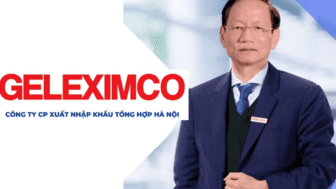 Geleximco trước khi làm ô tô: Hệ sinh thái đồ sộ từ BĐS, tài chính, Điện, giấy... đến nuôi lợn và trồng vải thiều