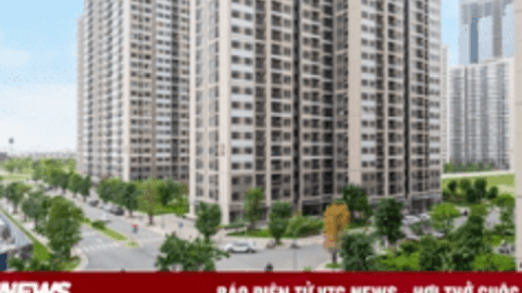 Giá chung cư tăng cao, đất nền èo uột: Nên đổ tiền đầu tư vào đâu?