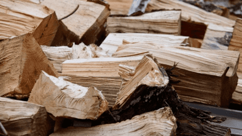 Thiếu khí đốt, dân châu Âu đốt mọi thứ có thể để sưởi ấm