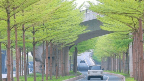 Hà Nội đưa Gia Lâm, Đông Anh lên quận vào năm 2023