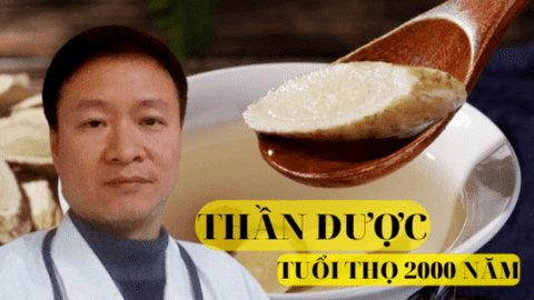 Loại "thần dược" bổ sinh lực tốt ngang nhân sâm mà giá lại rẻ