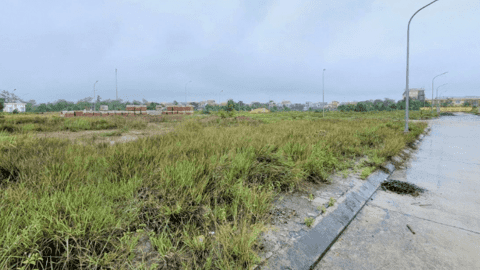 Nhà đầu tư vốn "khoẻ" vẫn đi "săn" đất đấu giá