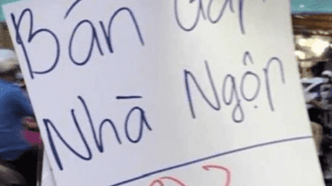 Nhà đầu tư rơi vào thế giằng co: Giữ tiền mặt hay xuống tiền đi “săn” hàng giảm giá