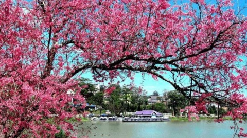 Loạt tin vui, “mùa xuân” có đến sớm với thị trường bất động sản?