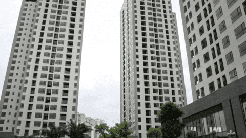 Thị trường bất động sản có thể phục hồi từ quý III/2023