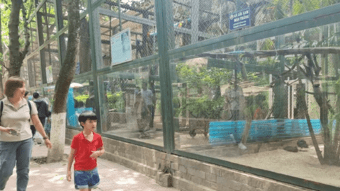 Hà Nội nghiên cứu mở rào một phần công viên Thủ Lệ