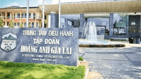 Hoàng Anh Gia Lai (HAGL) bổ sung tài sản bảo đảm nghĩa vụ tín dụng cho công ty con