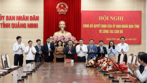 Quảng Ninh bổ nhiệm loạt cán bộ chủ chốt
