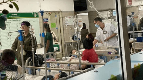 Thông tin mới nhất vụ 50 học sinh tiểu học ở Hà Nội ngộ độc sau khi dã ngoại