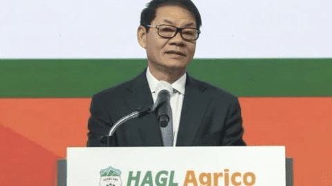 HAGL Agrico (HNG): Mảng trái cây lỗ gộp hơn 900 tỷ đồng, còn nợ HAGL khoảng 1.500 tỷ đồng