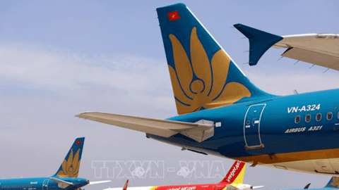 Cục Hàng không Việt Nam: Giá vé máy bay không được vượt giá trần