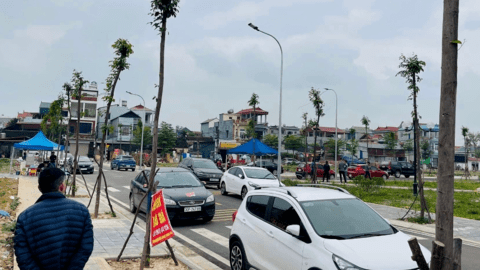 Thị trường trầm lắng, tại sao đất nền một số địa phương vẫn có xu hướng tăng giá rao bán?