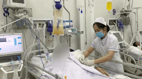 6 lọ thuốc hiếm điều trị ngộ độc Botulinum do WHO viện trợ khẩn cấp đã về đến Việt Nam