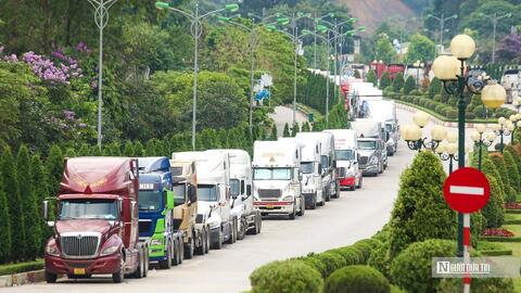 Không để tái diễn tình trạng nông sản bị ùn ứ tại cửa khẩu