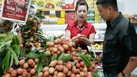 Gần 100 tấn vải thiều xuất ngoại chỉ trong 5 ngày