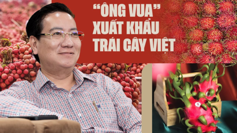 “Ông vua” xuất khẩu trái cây Việt: Chúng ta đang chọn những loại quả rất “yếu” để đi Mỹ