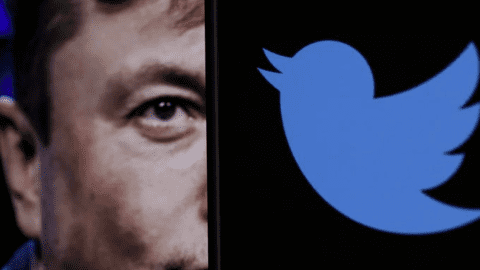 Elon Musk chuẩn bị 'tái thiết' thương hiệu Twitter và 'vĩnh biệt' những chú chim xanh