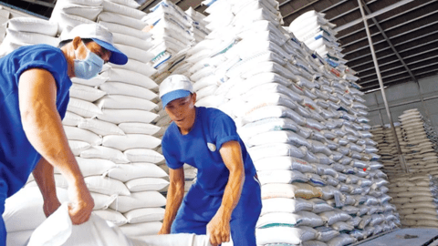 Giá gạo có thể tiếp tục tăng