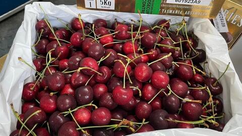 Giá cherry nhập khẩu Mỹ thấp kỷ lục