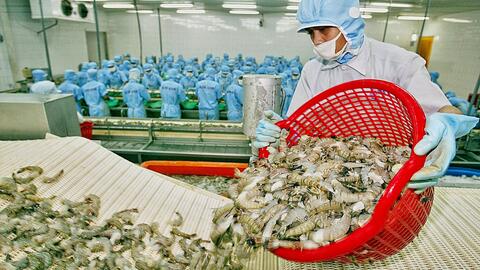 Thủy sản loay hoay vì rớt giá, kỳ vọng thị trường cuối năm