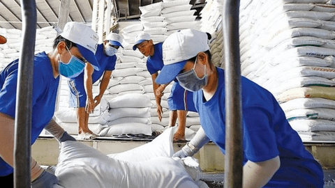 Sau loạt 'tin dữ' từ Ấn Độ, Myanmar - gạo xuất khẩu Việt Nam lập đỉnh 15 năm, giá cao nhất thế giới