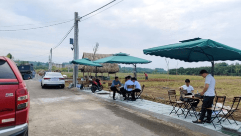 Chuyên gia dự đoán bất ngờ về thời gian phục hồi của đất nền tỉnh lân cận Tp.HCM