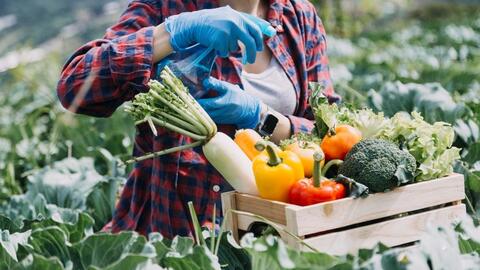 Đưa nông sản, thực phẩm chế biến của Việt Nam vào hệ thống phân phối nước ngoài