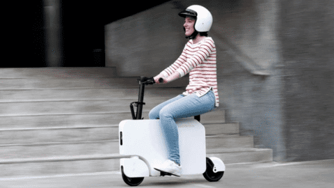 Honda mở bán mẫu xe máy điện mini