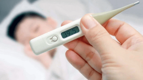 Bị sốt xuất huyết có thể điều trị tại nhà?