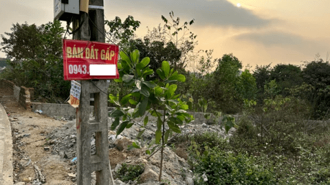Thị trường bất động sản đã “vượt đáy”, thanh khoản đang dần sôi động trở lại