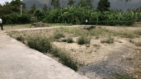 Phương pháp xác định giá đất còn chưa phù hợp điều kiện thực tế