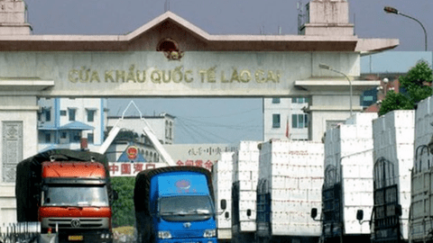 Xuất khẩu rau quả của Việt Nam đạt kỷ lục chưa từng có
