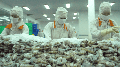 Xuất khẩu thủy sản có thể mang về 9,2 tỷ USD