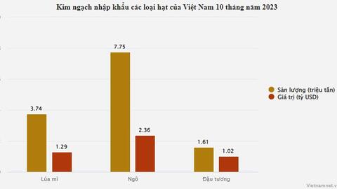 Hai loại hạt rất quen thuộc, Việt Nam chi 3,38 tỷ USD nhập khẩu