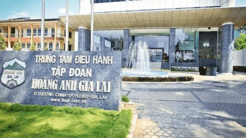 Bất ngờ với nhà đầu tư chi nghìn tỷ mua cổ phiếu Hoàng Anh Gia Lai