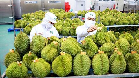 Xuất khẩu sang Trung Quốc tăng ấn tượng: Kỳ vọng "bùng nổ"