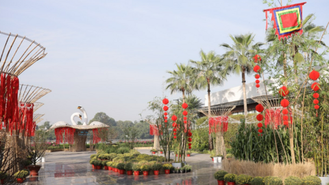 Trải nghiệm du xuân bằng tàu thủy để check-in phố Tết SwanBay