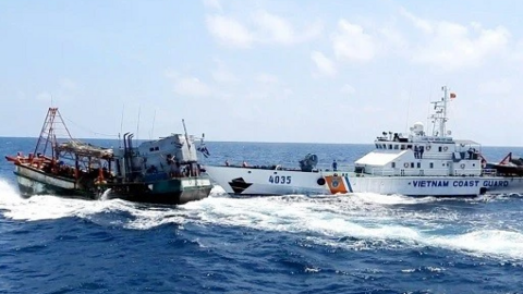 Thông tin quan trọng việc Việt Nam gỡ 'thẻ vàng' thủy sản