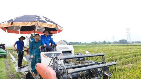 Thanh niên tình nguyện trên công trường đường dây 500 KV mạch 3