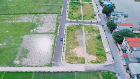 Đấu giá đất: Khi 'cò' thao túng