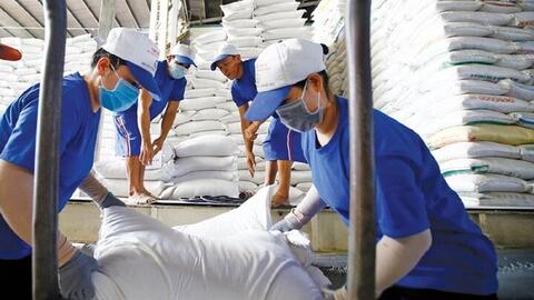 Gạo xuất khẩu Việt Nam được giá, cao nhất thế giới